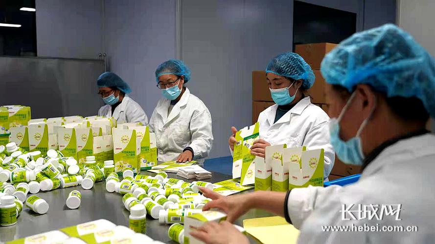 邯郸晨光公司刚生产的保健食品正在装盒入箱.